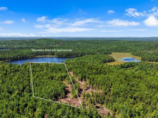 M9 L45-A NE NE Bluff Lane , Beddington, ME 04622