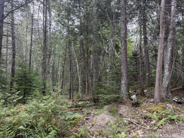00 Youngâ??s Point Road , Brooksville, ME 04617