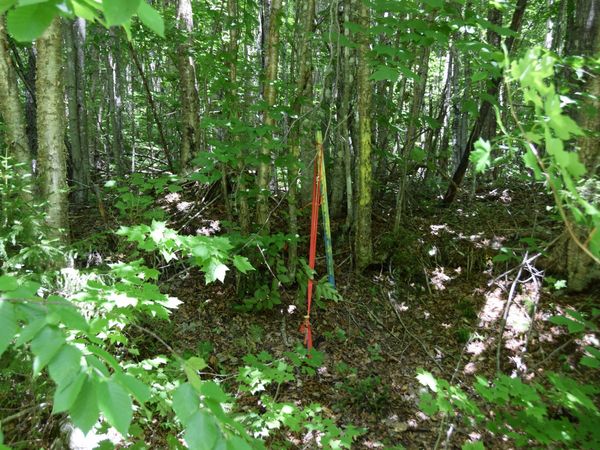 MSO3 L16 Flow Road , Carrying Place Twp, ME 04961