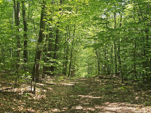 Lot 023-A Oak Hill Road , Temple, ME 04984