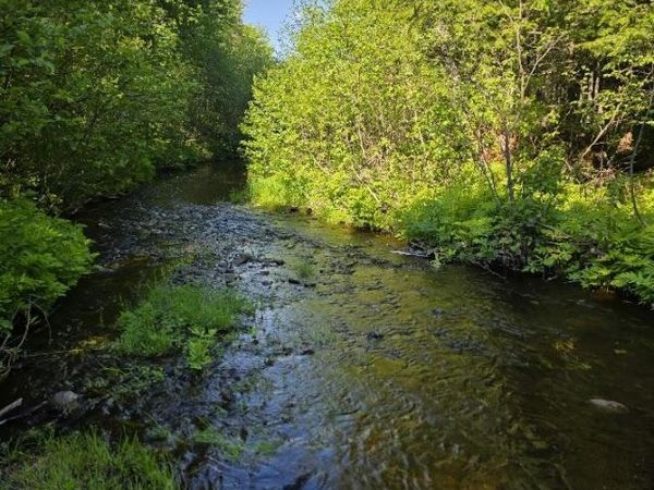 Lot 10 Davis Brook Road , Amity, ME 04471