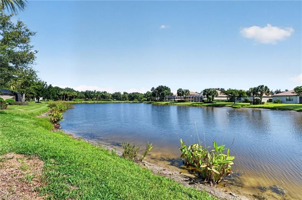 7994 Helena Ct, Ave Maria, FL 34142 Photo