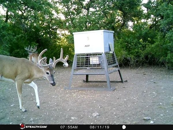 1688 Highway 573 , Comanche, TX 76442