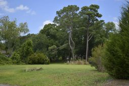 4647 Dogwood Dr.  photo 4