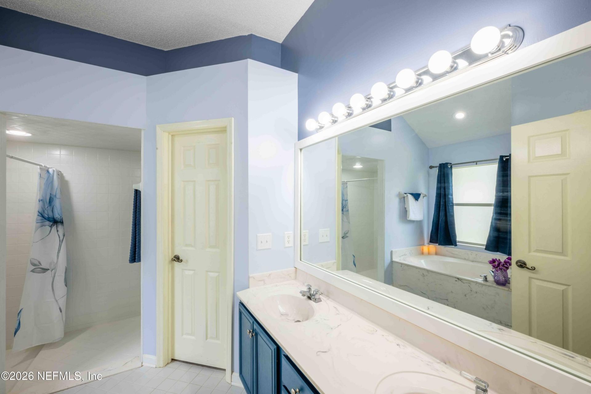 1608 Brighton Bluff Court, Fleming Island, FL 32003 Photo