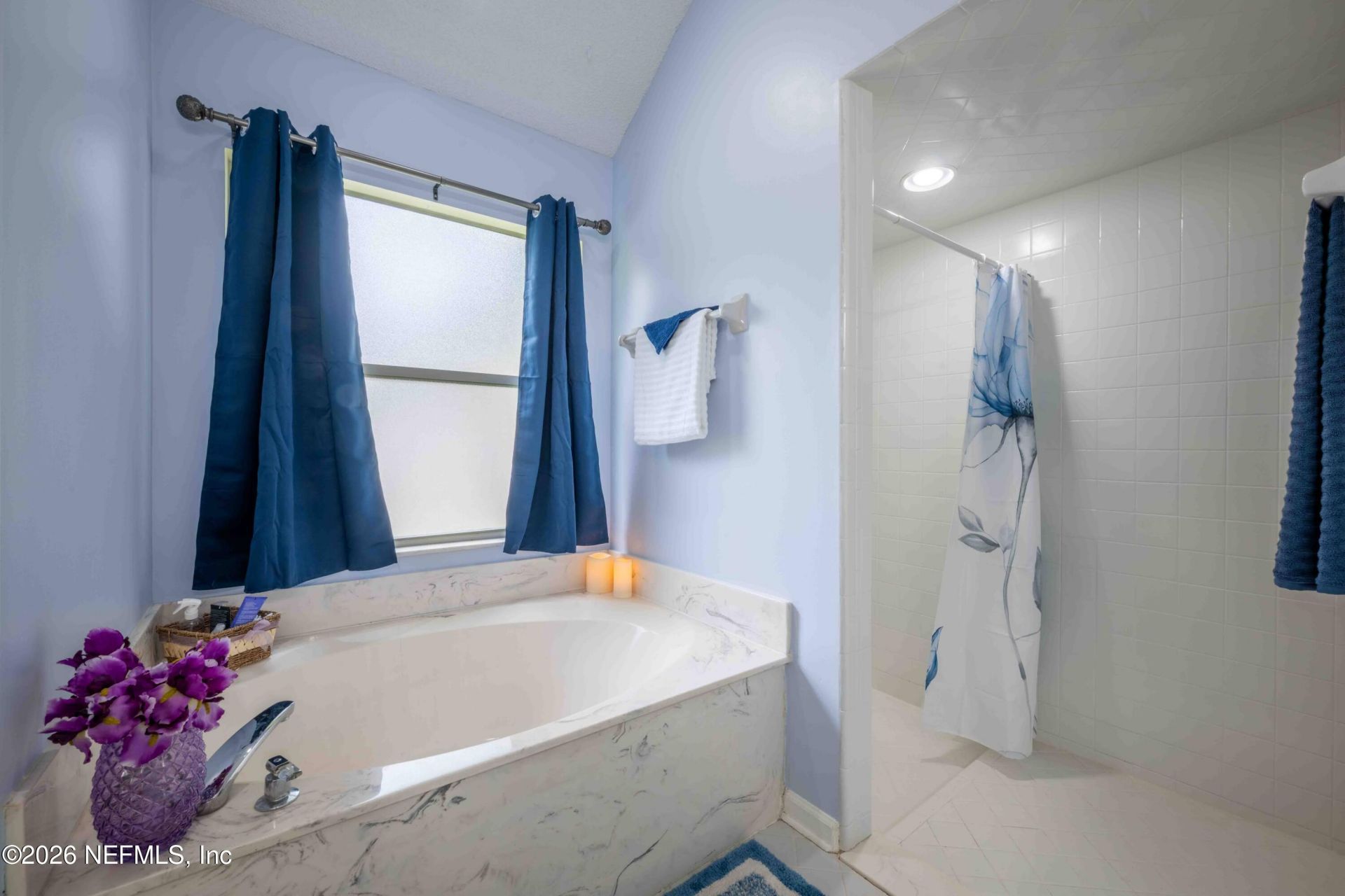 1608 Brighton Bluff Court, Fleming Island, FL 32003 Photo