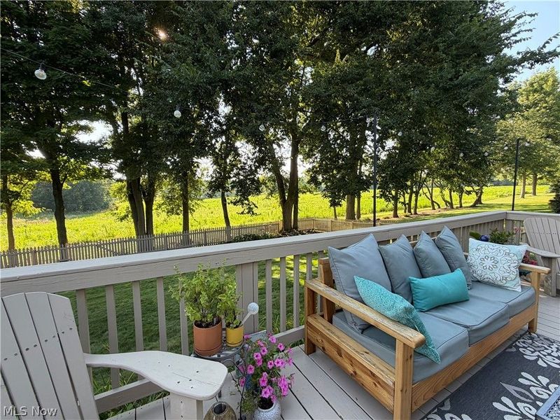 1100 Partridge Drive, Wadsworth, OH 44281 Photo 37