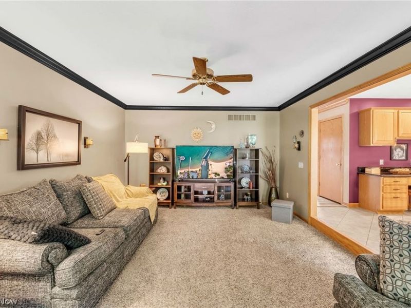 1100 Partridge Drive, Wadsworth, OH 44281 Photo 5