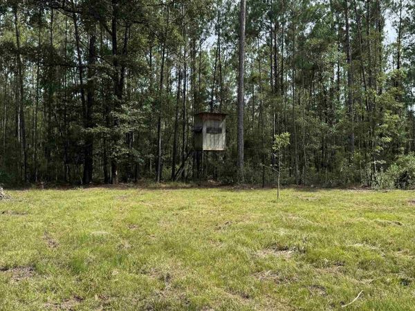 66409 James Road, Stockton, AL 36579