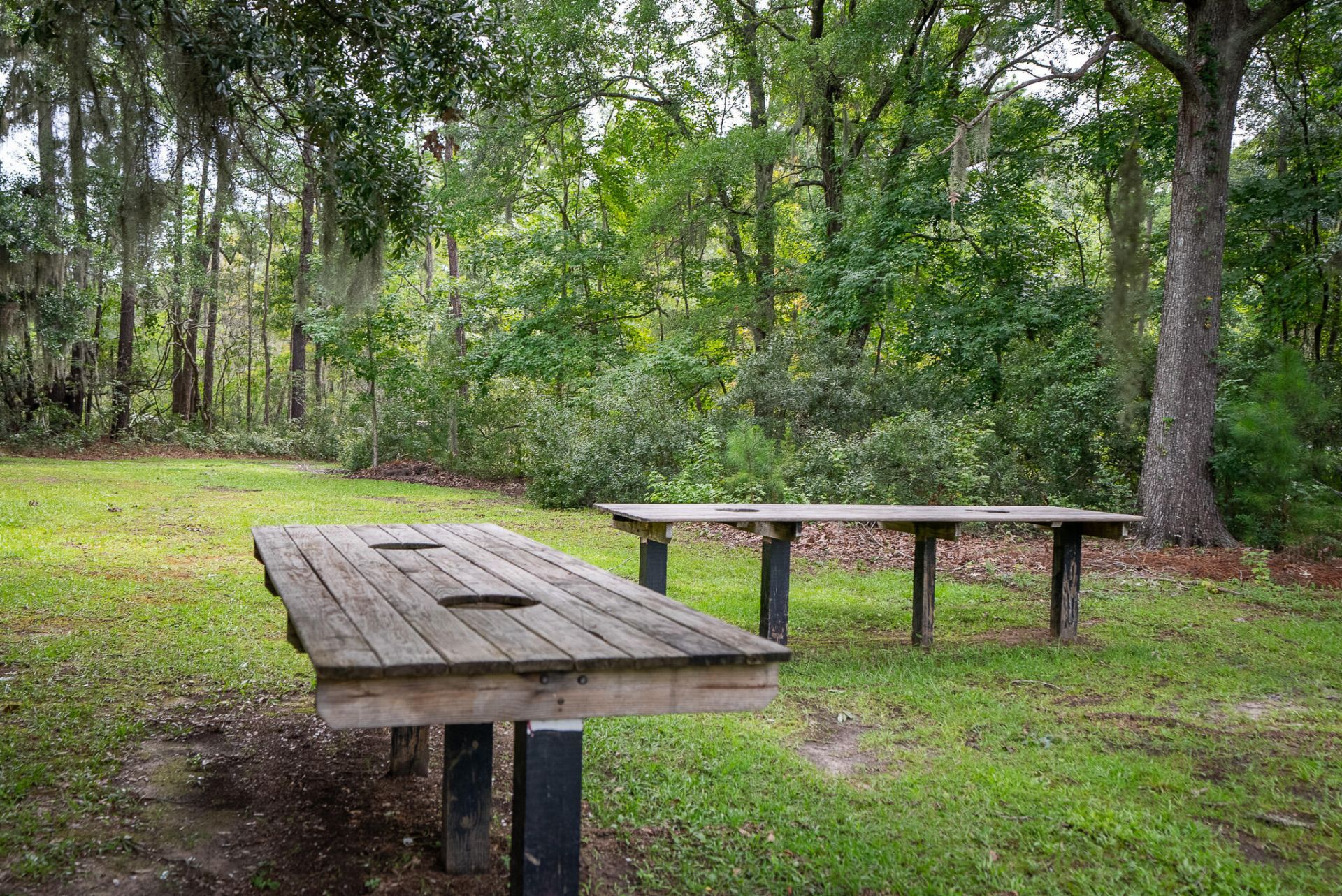4150 Nature View Circle Photo 51