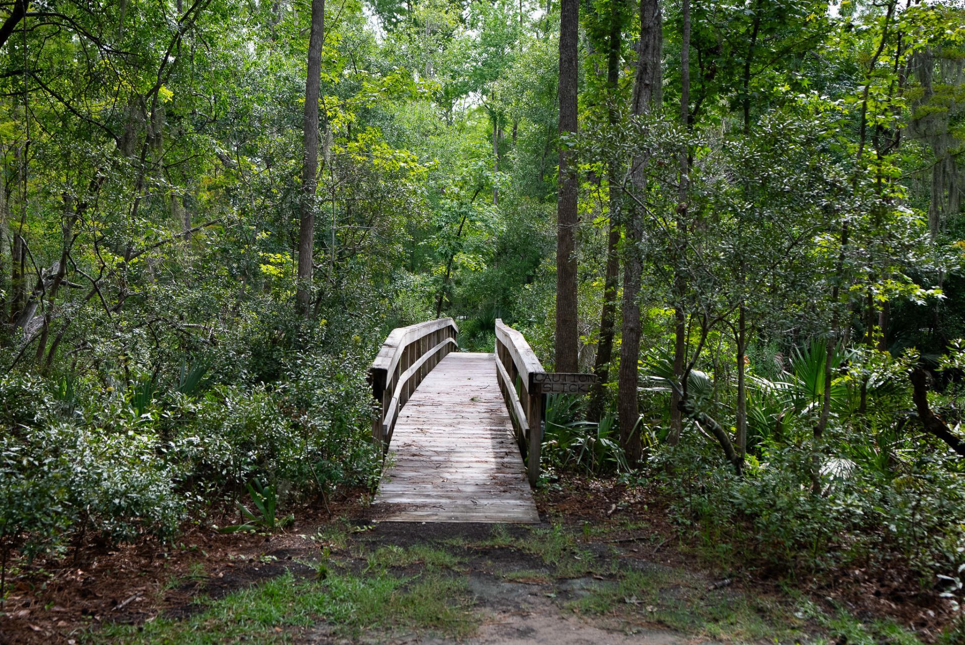4150 Nature View Circle Photo 52
