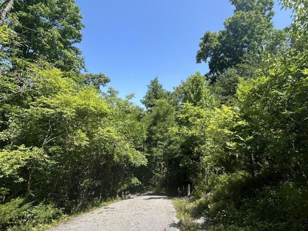 lot 713 Russell Brothers , Sharps Chapel, TN 37866