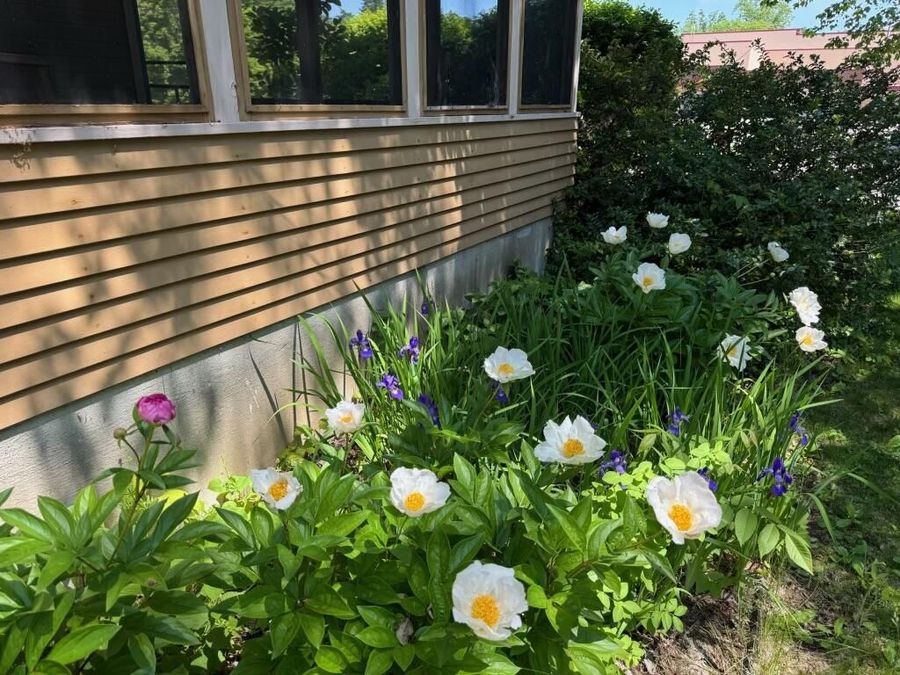 Property Image 48