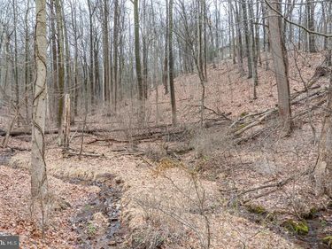 10 HIDDEN POND DRIVE , READING, PA 19607