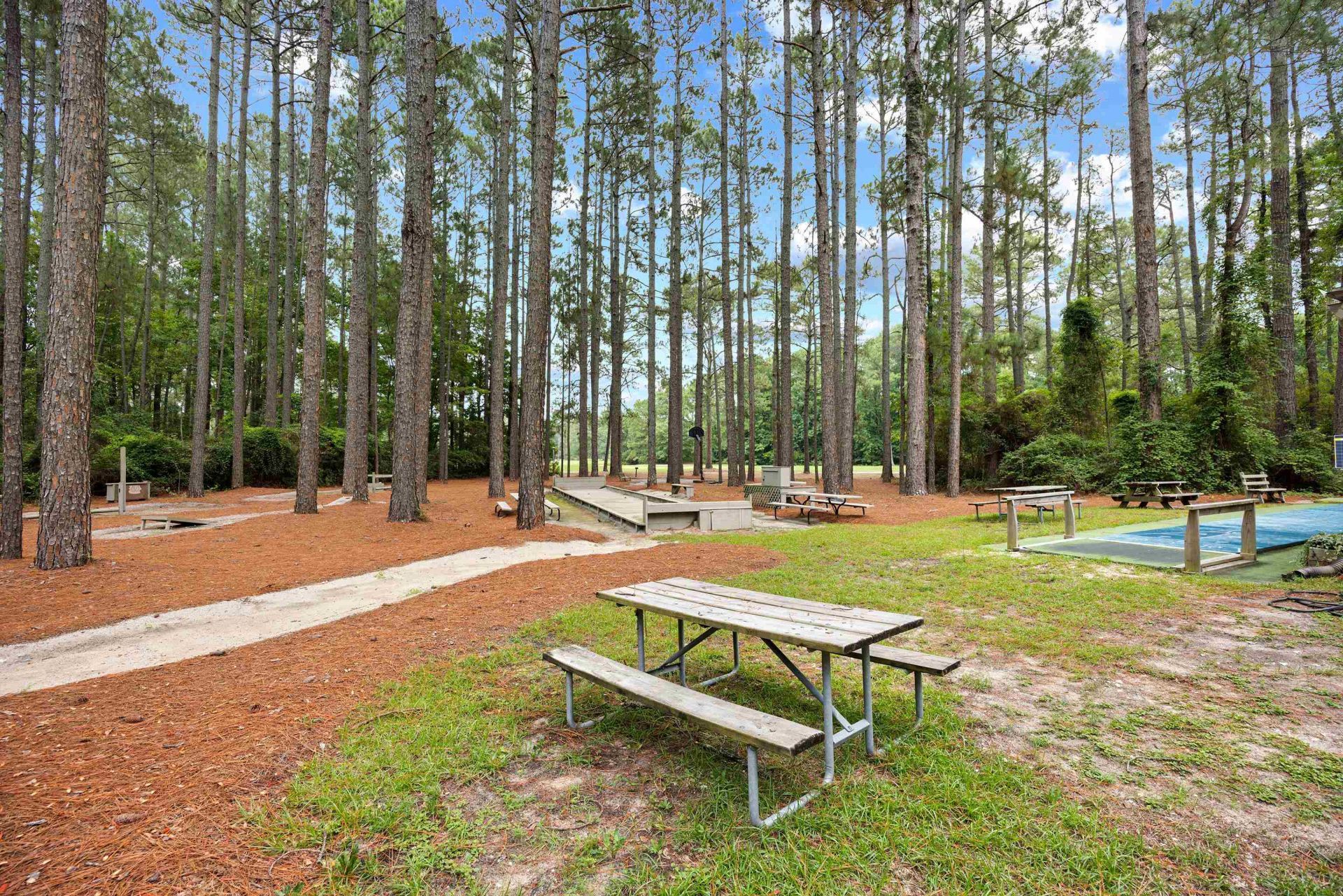 228 Candlewood Dr.  Photo 38