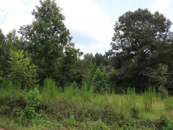 Priaire Chapel Road , Fountain Hill, AR 71642