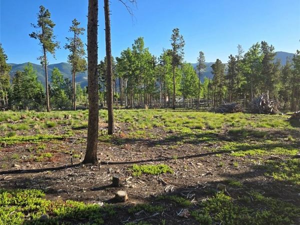 000 Frank C, Idaho Springs, CO 80452