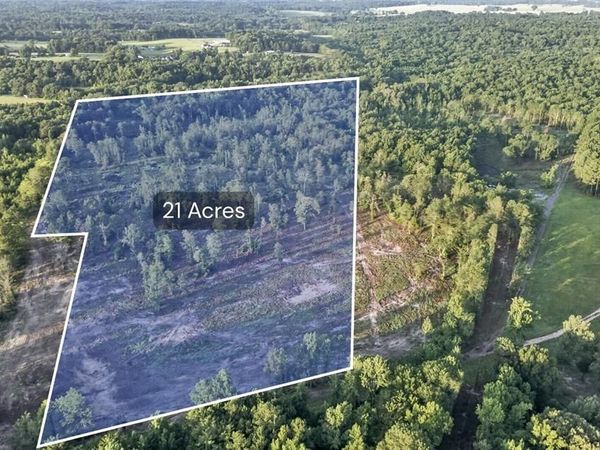 TBD 21 Acres CR 3116, Winona, TX 75792