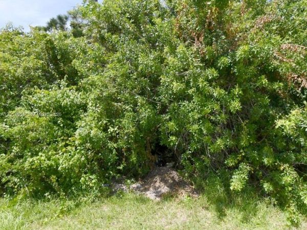 1241 SW IDOL , Port St. Lucie, FL 34953