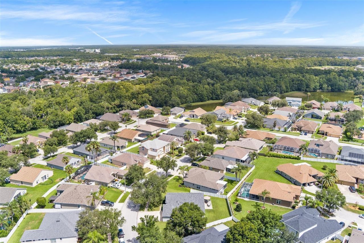 1210 Yardley Drive , Wesley Chapel, FL 33544 Photo