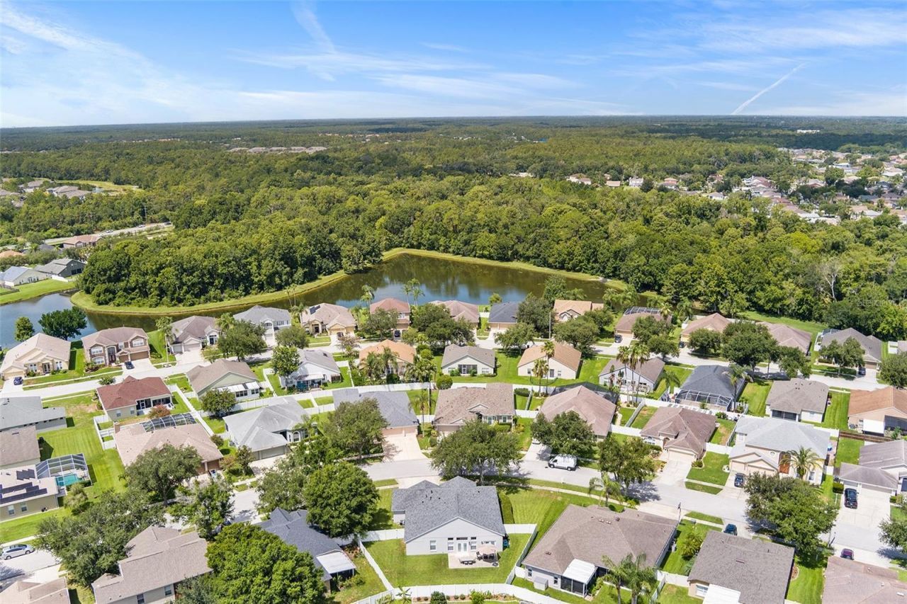1210 Yardley Drive , Wesley Chapel, FL 33544 Photo
