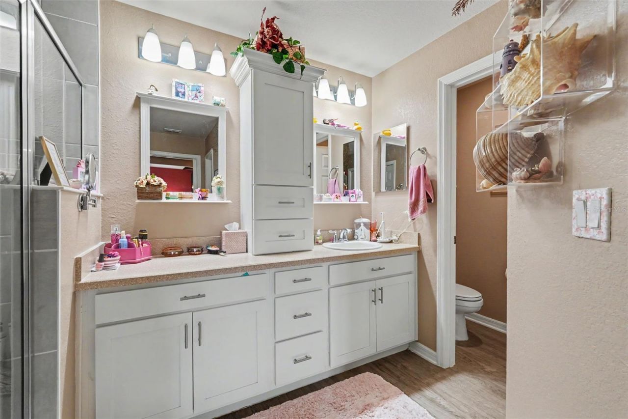 11820 Stone Pine Street, Riverview, FL 33569 Photo