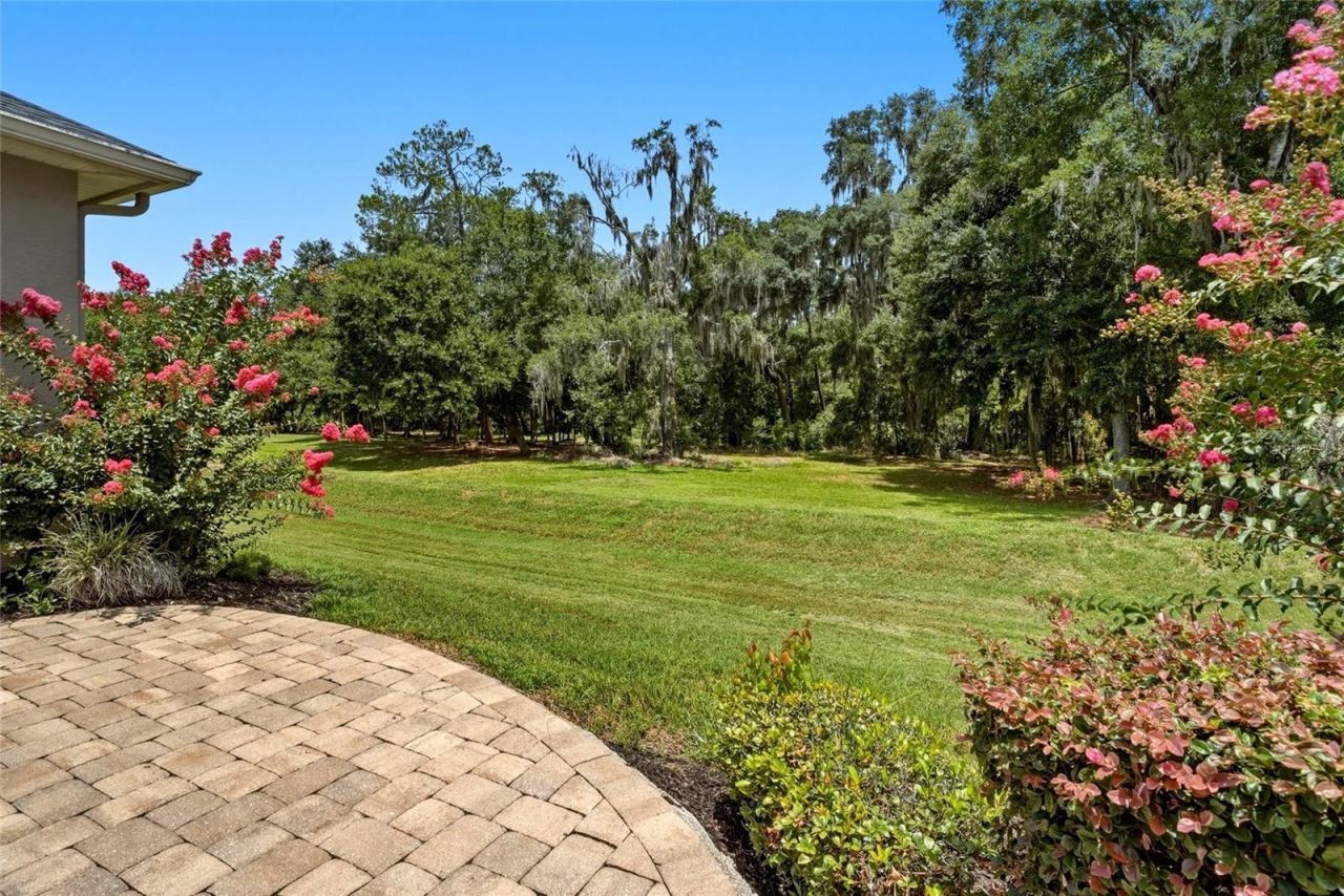 3196 Hawks Ridge Drive , Lakeland, FL 33810 Photo