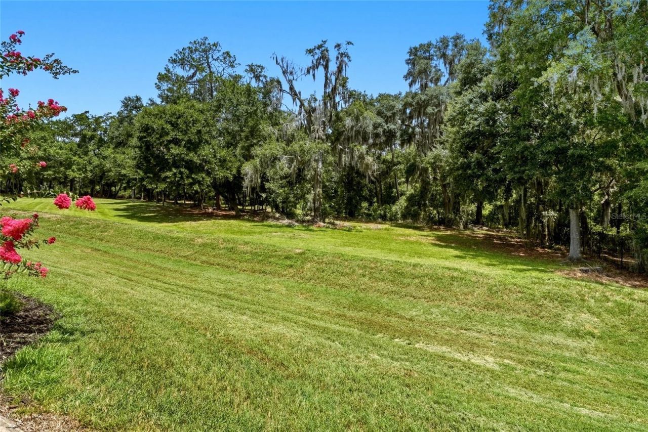 3196 Hawks Ridge Drive , Lakeland, FL 33810 Photo