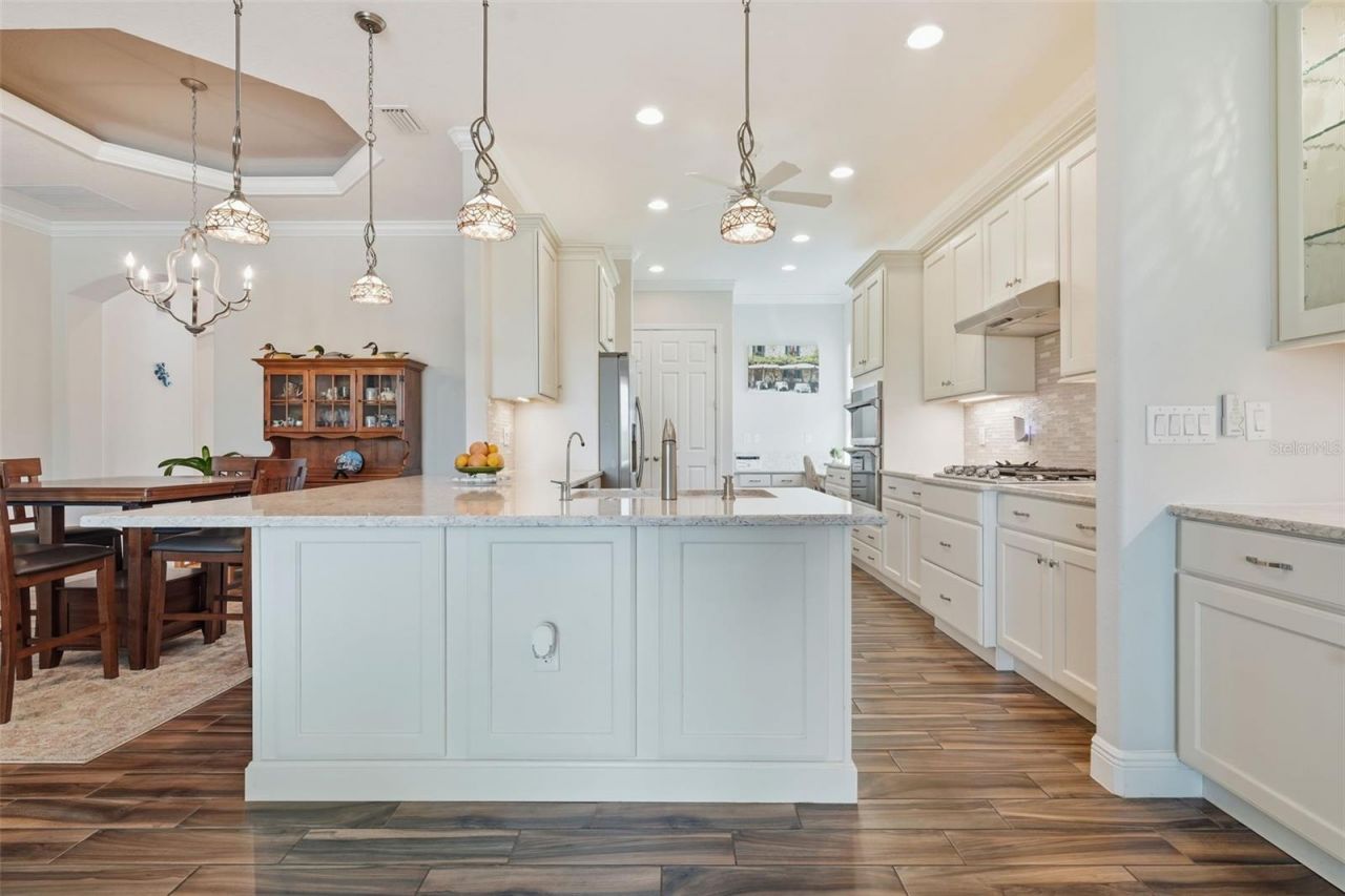 8732 Providence Court, Mount Dora, FL 32757 Photo