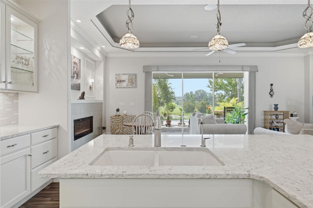 8732 Providence Court, Mount Dora, FL 32757 Photo