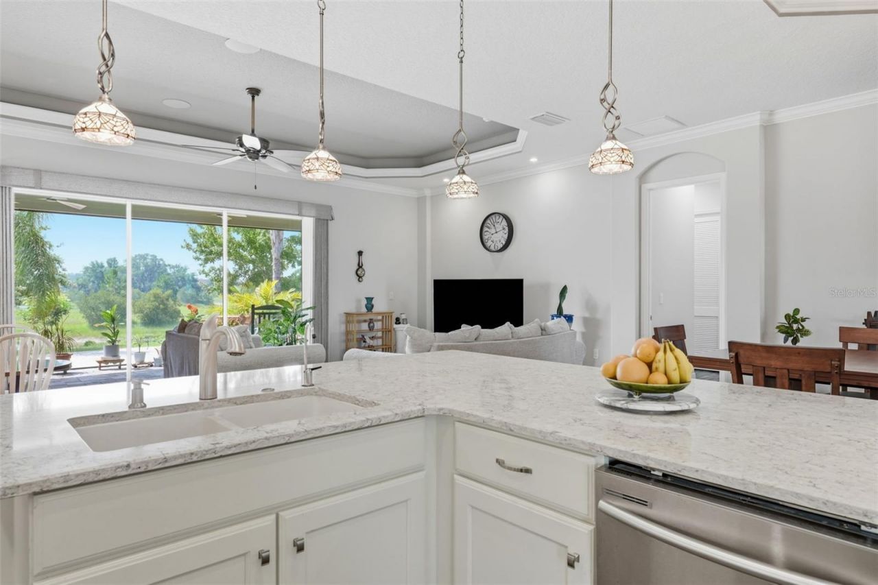 8732 Providence Court, Mount Dora, FL 32757 Photo