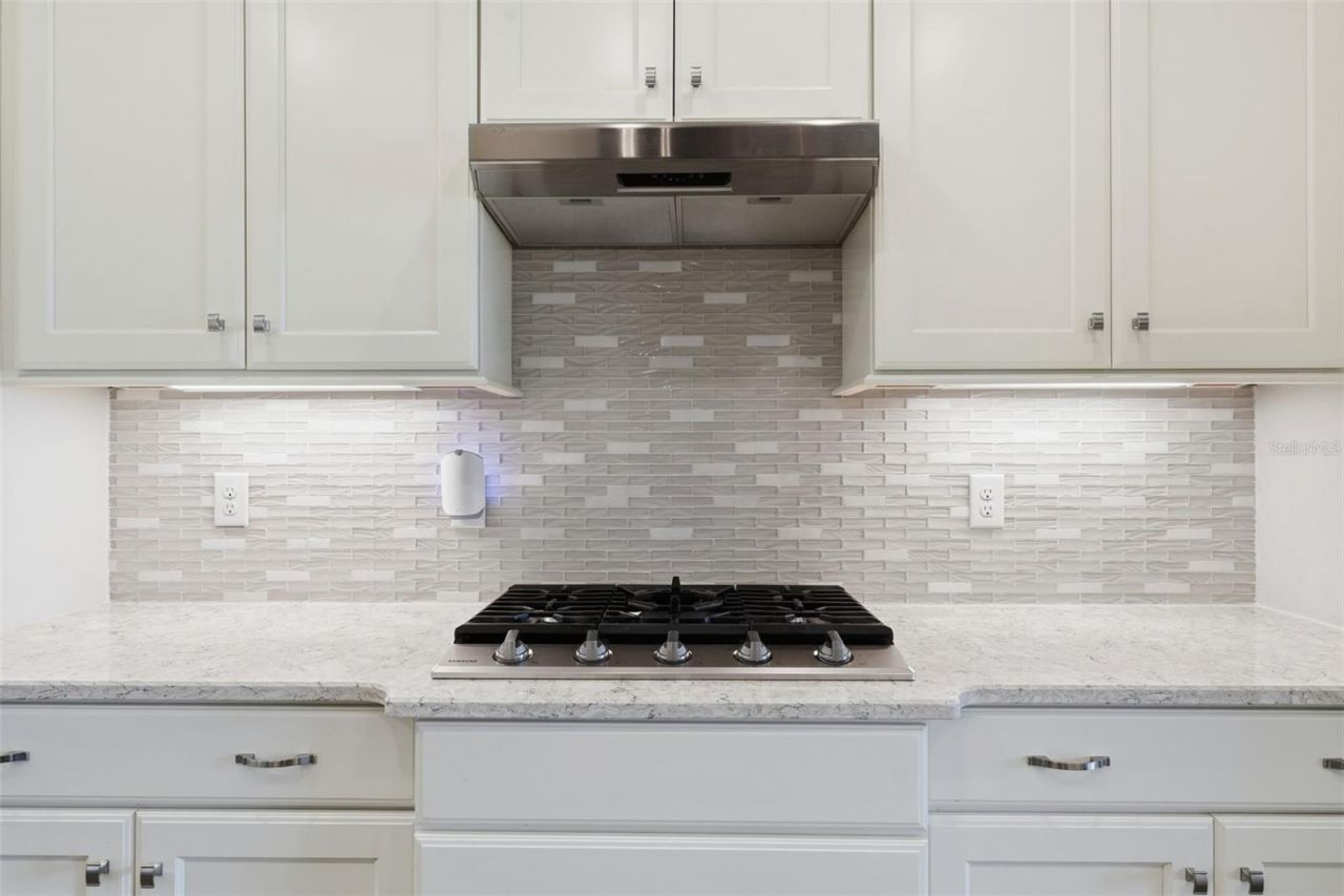 8732 Providence Court, Mount Dora, FL 32757 Photo
