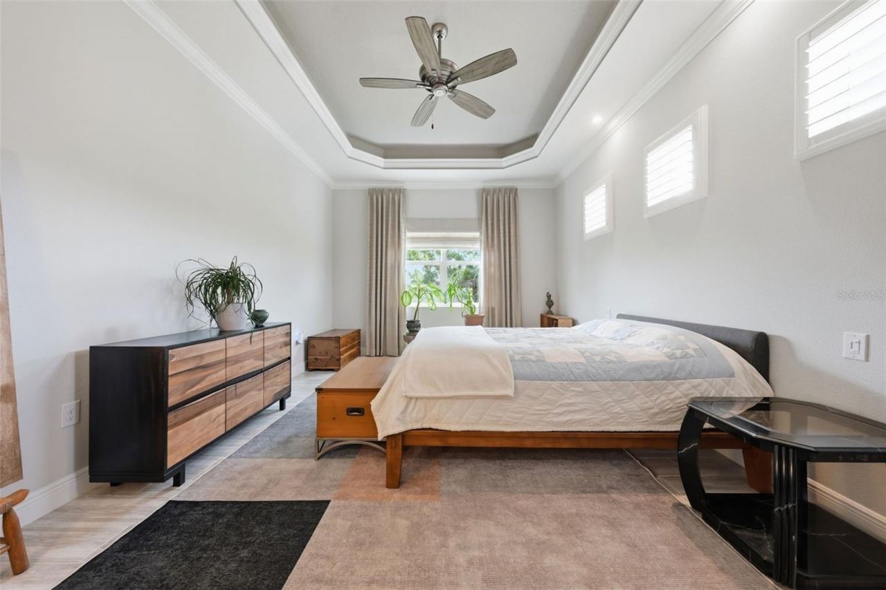 8732 Providence Court, Mount Dora, FL 32757 Photo
