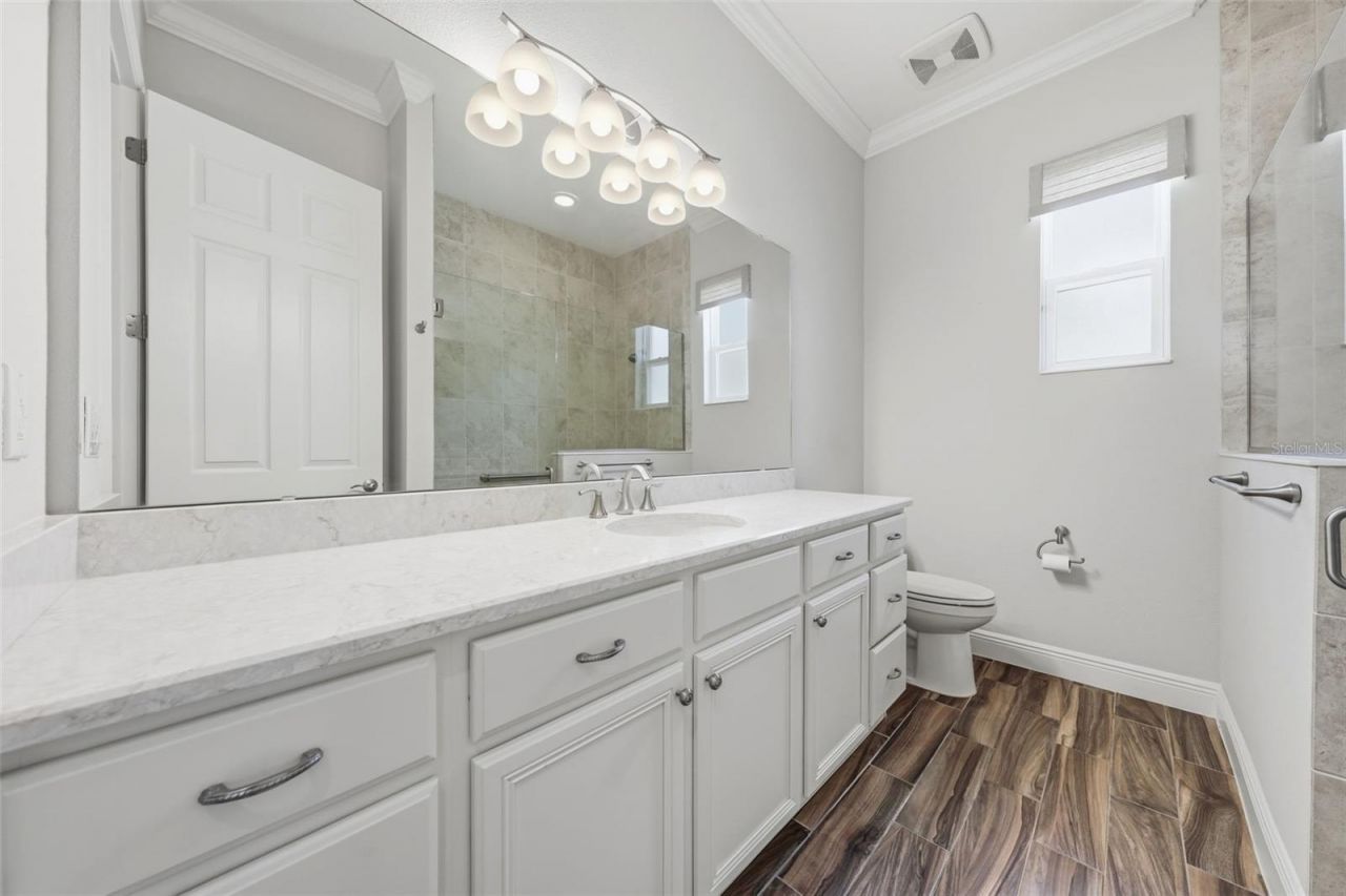 8732 Providence Court, Mount Dora, FL 32757 Photo