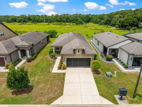 9725 SW 63RD LOOP , OCALA, FL 34481
