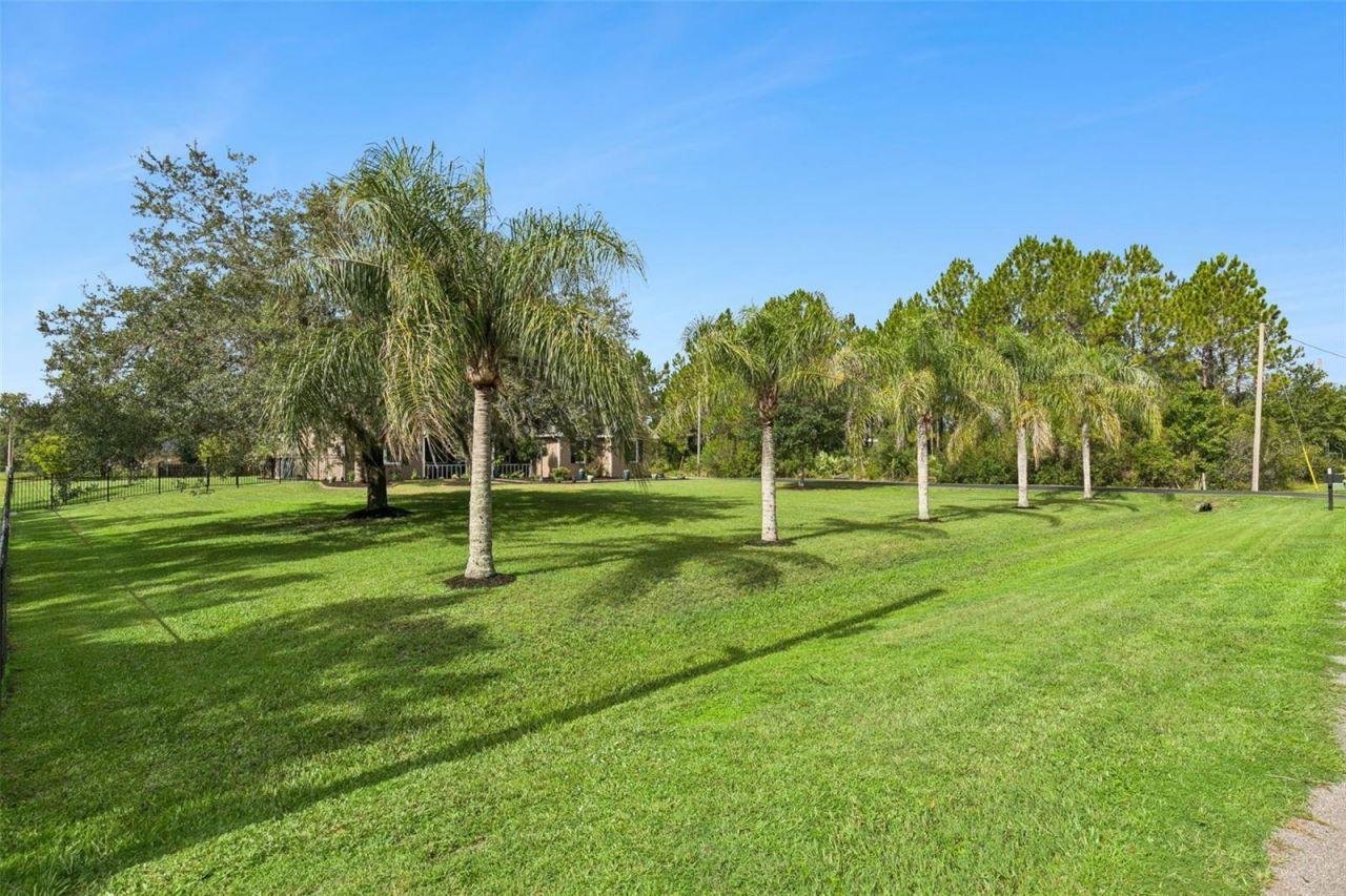 19204 Paddock Street , Orlando, FL 32833 Photo