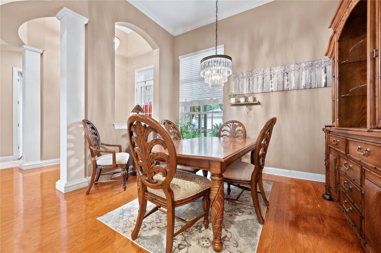 7049 Timber Ridge Way , Land O Lakes, FL 34637 Photo