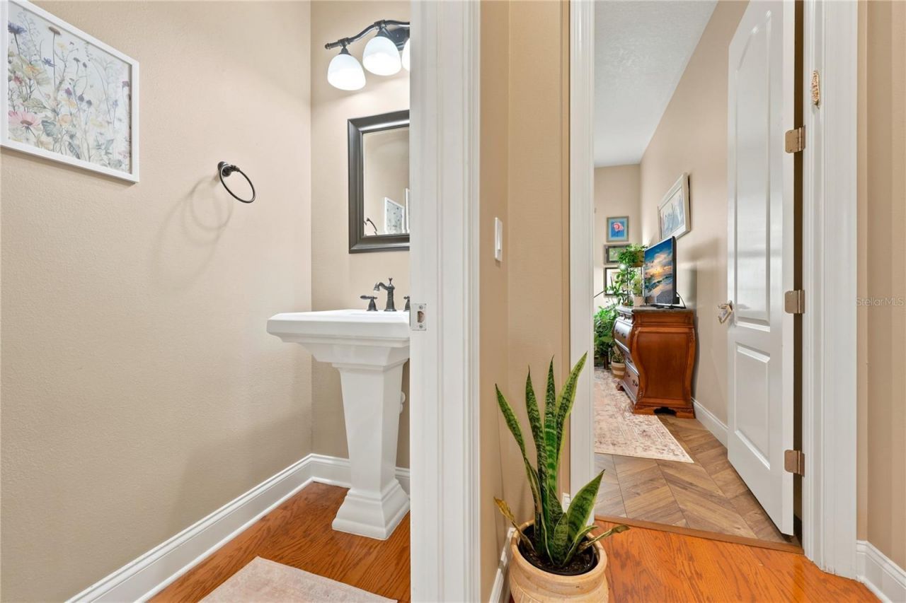 7049 Timber Ridge Way , Land O Lakes, FL 34637 Photo