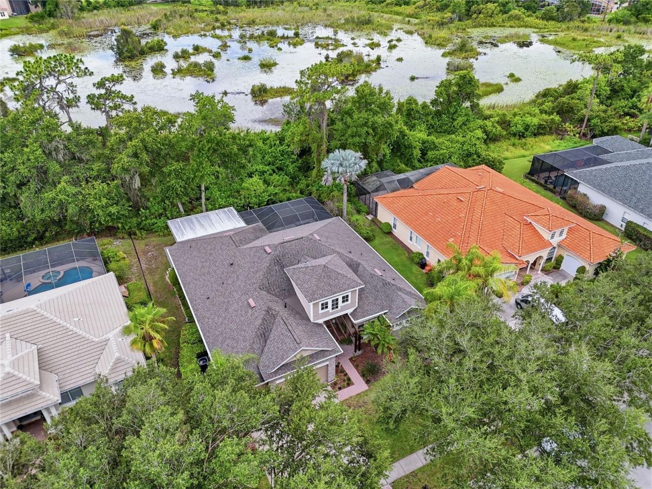 7049 Timber Ridge Way , Land O Lakes, FL 34637 Photo