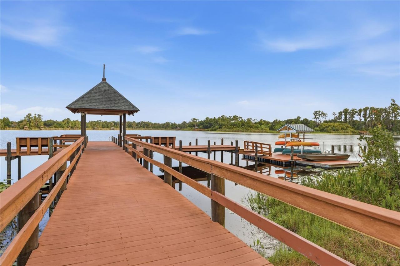 7049 Timber Ridge Way , Land O Lakes, FL 34637 Photo