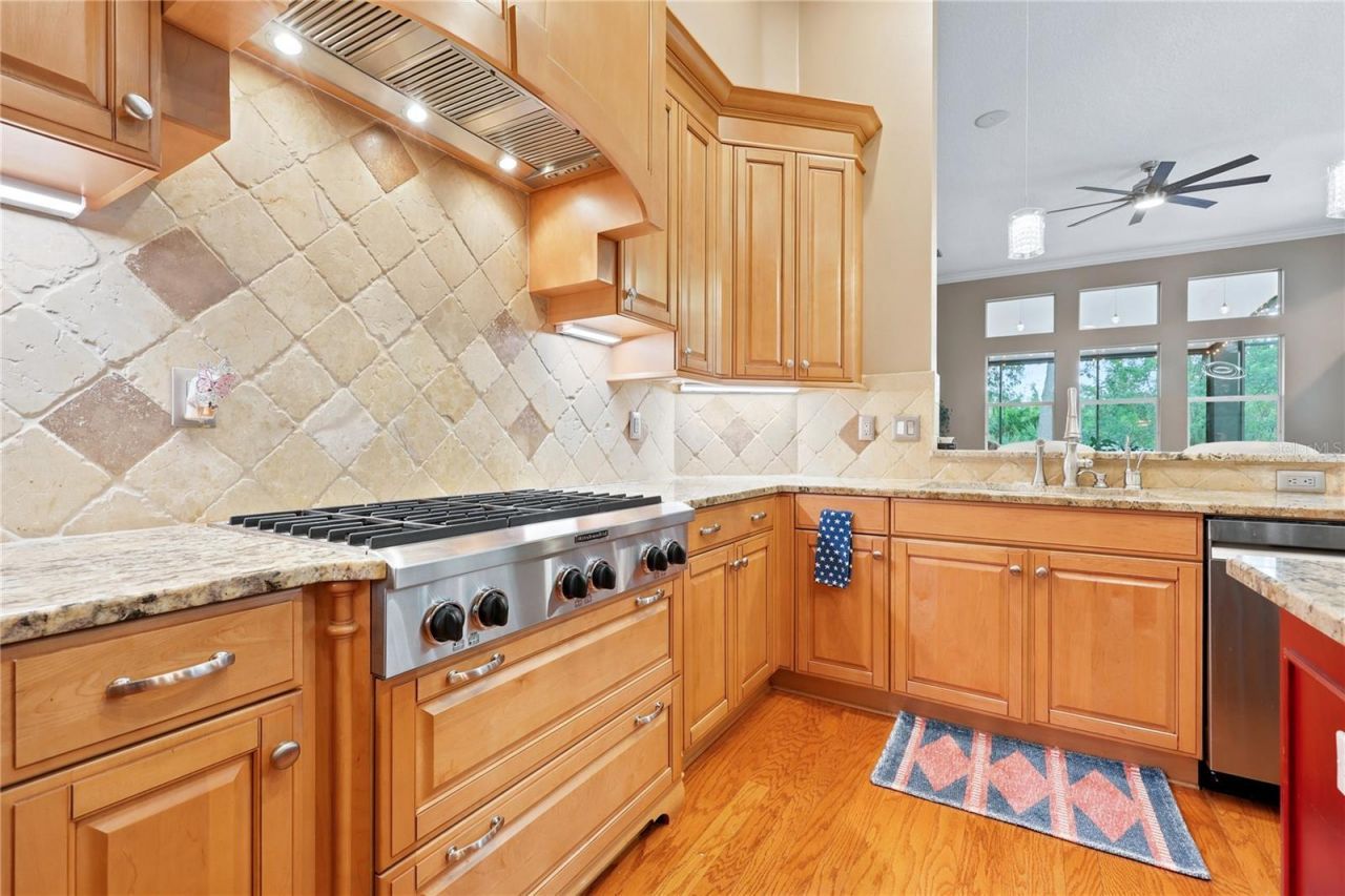7049 Timber Ridge Way , Land O Lakes, FL 34637 Photo