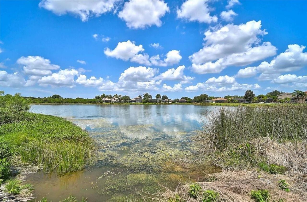 12319 Lavender Loop , Bradenton, FL 34212 Photo