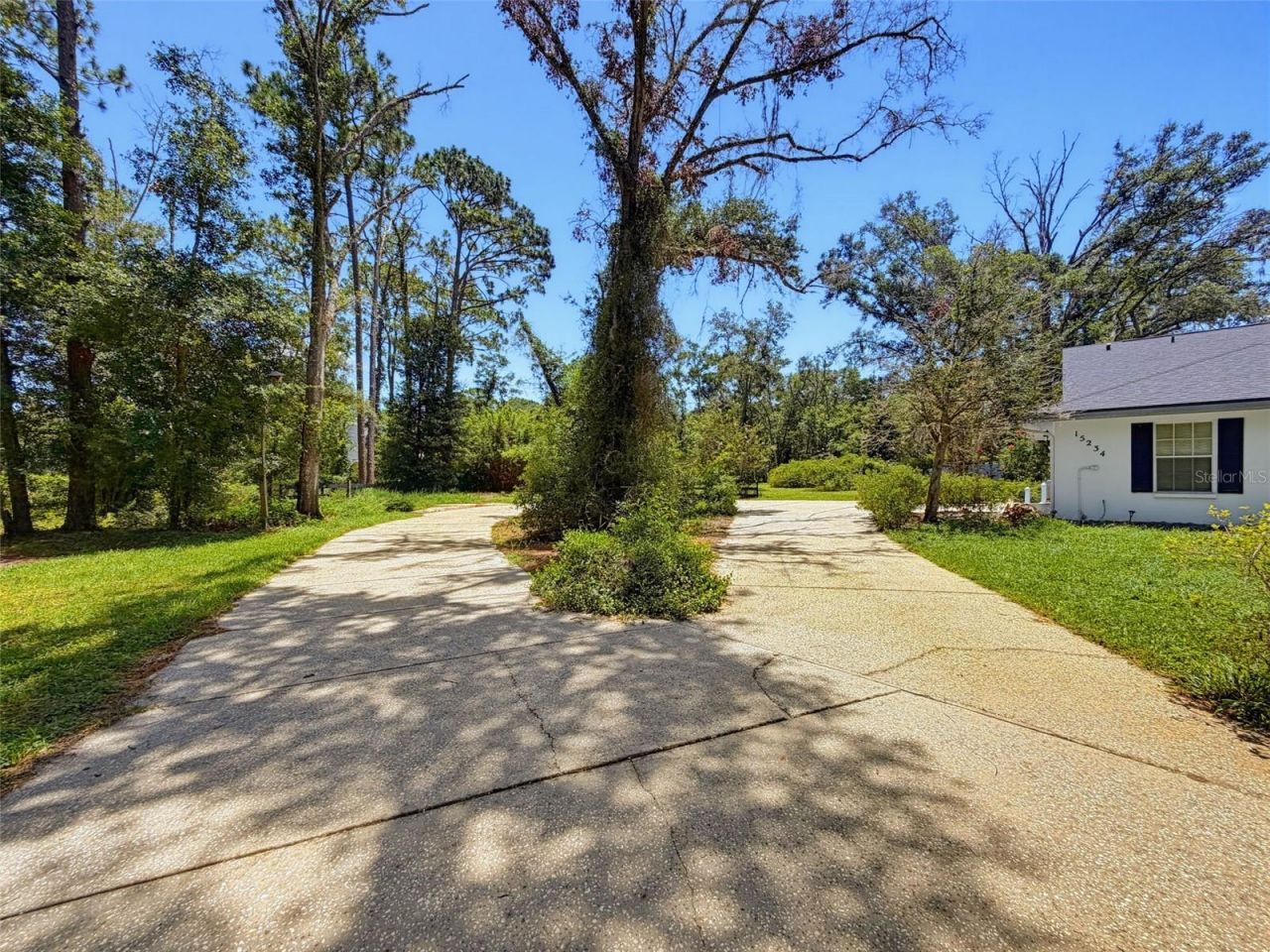 15234 Scanio, Spring Hill, FL 34610 Photo