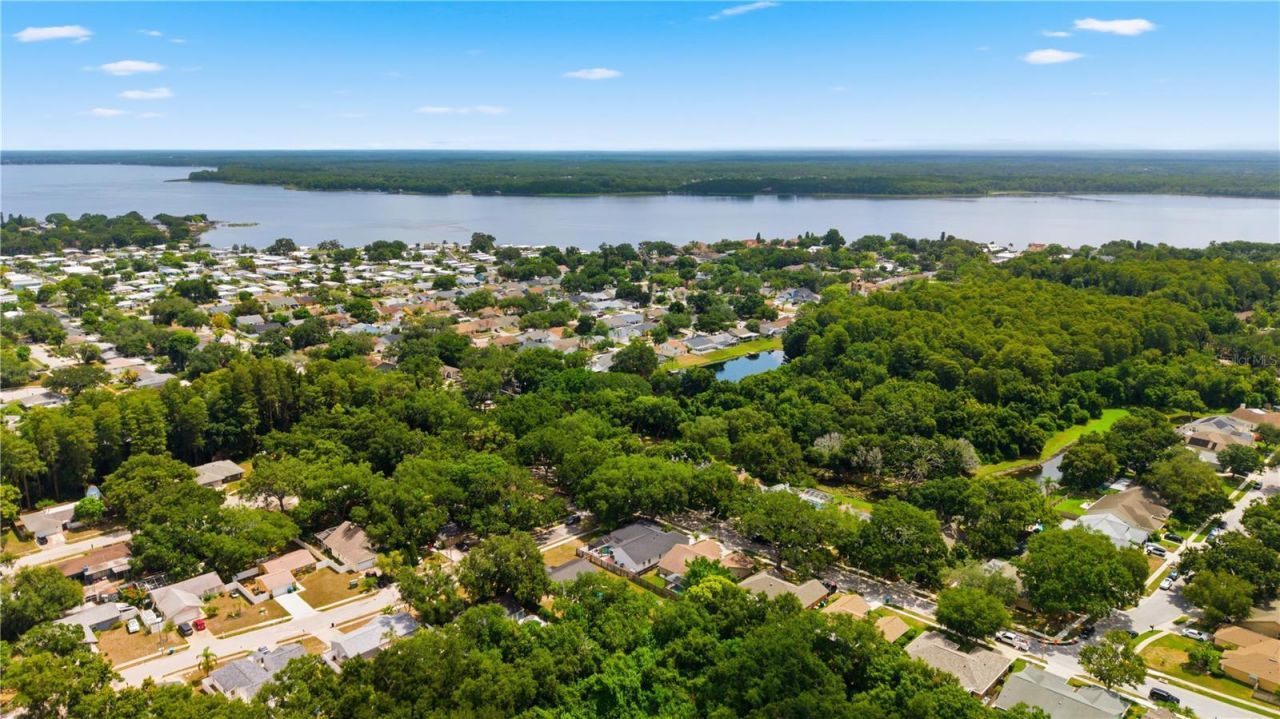 3040 Windridge Oaks Drive, Palm Harbor, FL 34684 Photo