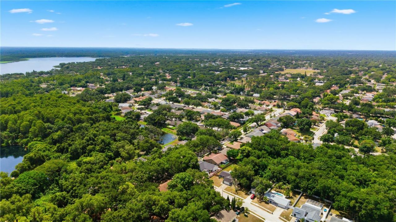 3040 Windridge Oaks Drive, Palm Harbor, FL 34684 Photo