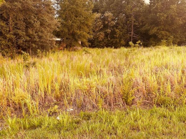 TBD DOGWOOD DRIVE COURSE , OCALA, FL 34472