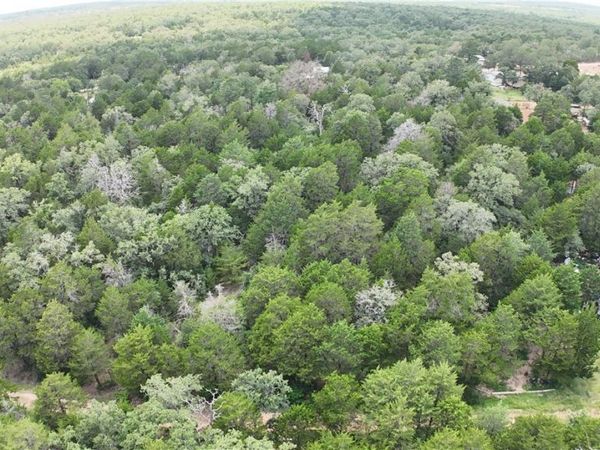 TBD Lot 15 Pecan Street , Paige, TX 78659
