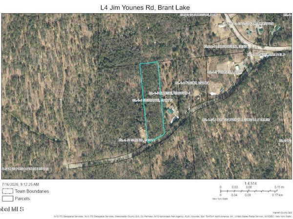 L4 Jim Younes Road, Brant Lake, NY 12815