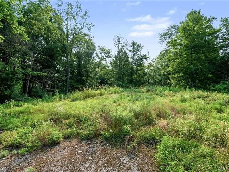 5793 Brant Road, Salemtwp, OH 45152 Photo 4