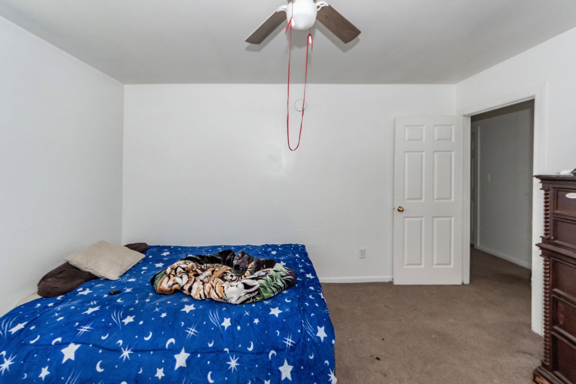 936 Sheep Island Road Photo 18